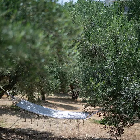 Anima Horizon - Anemos * Eleofito