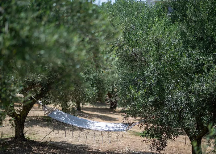 Anima Horizon - Anemos * Eleofito